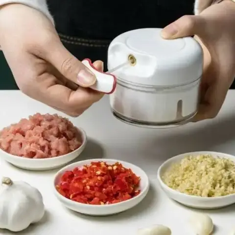 Mini Food Chopper for Cutting Garlic