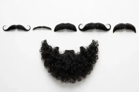 Fake Moustache and Beard Set